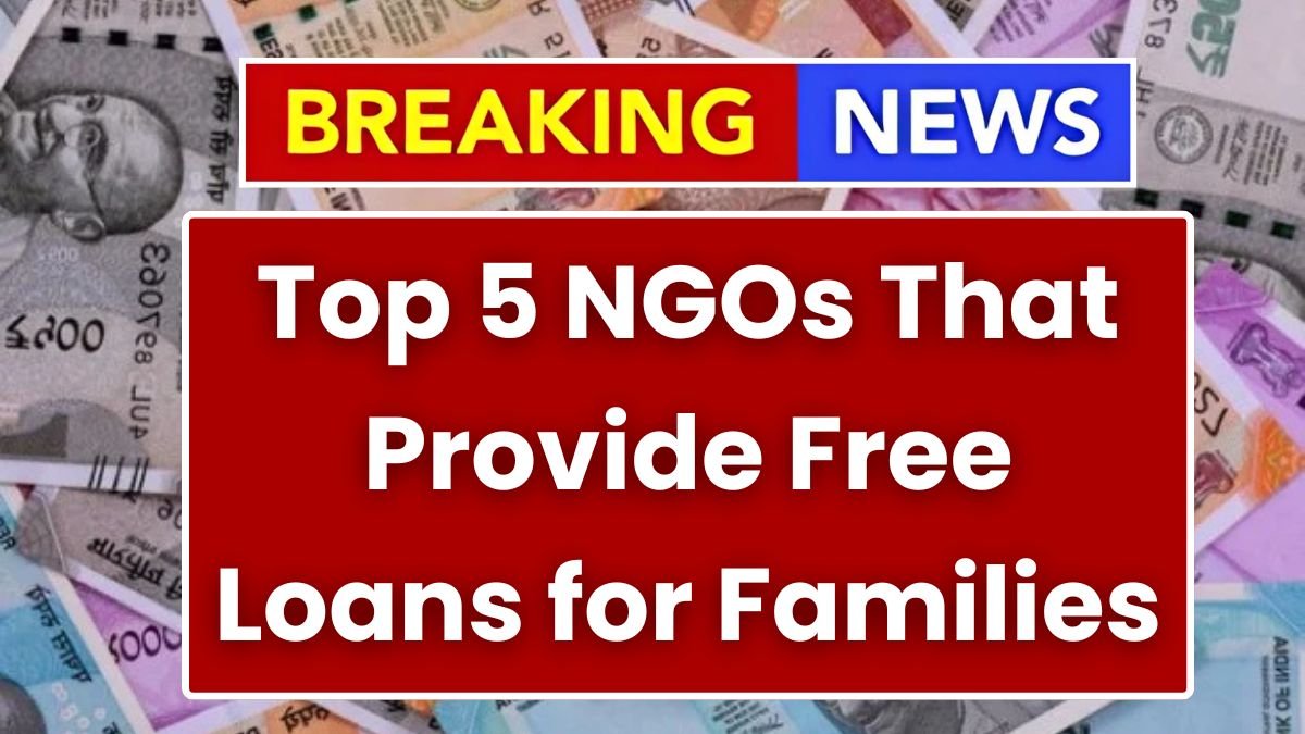 Top 5 NGO Loans